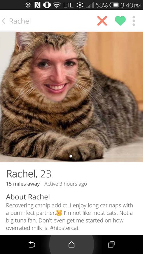 funny female dating profiles