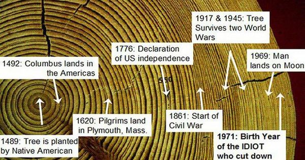 tree ring dating definition